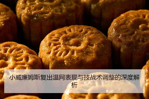 小威廉姆斯复出温网表现与技战术调整的深度解析